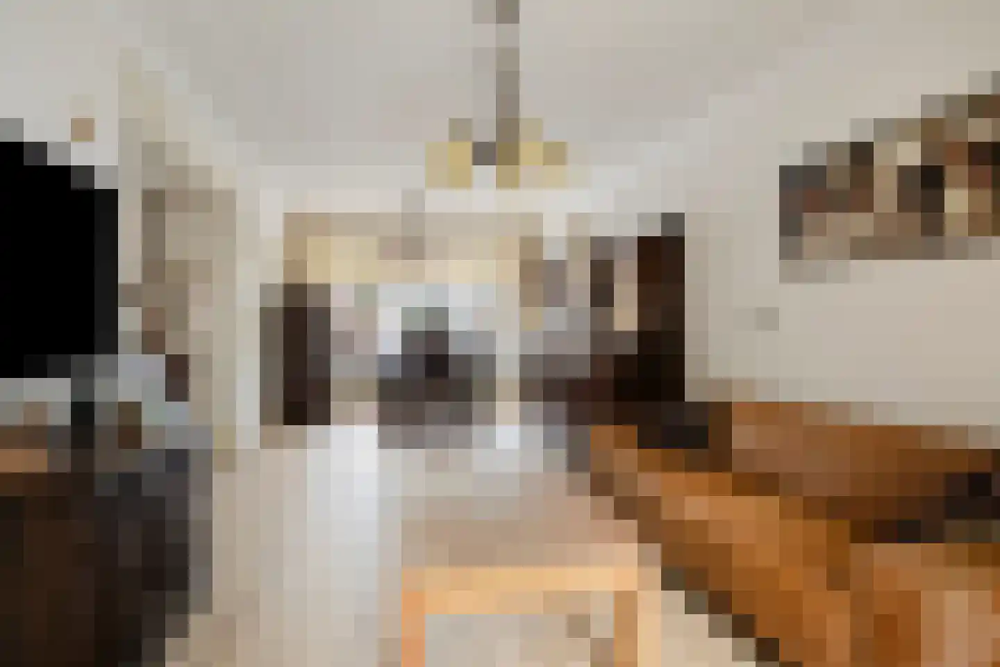 Kortendijksestraat 83 Roosendaal thumbnail 10