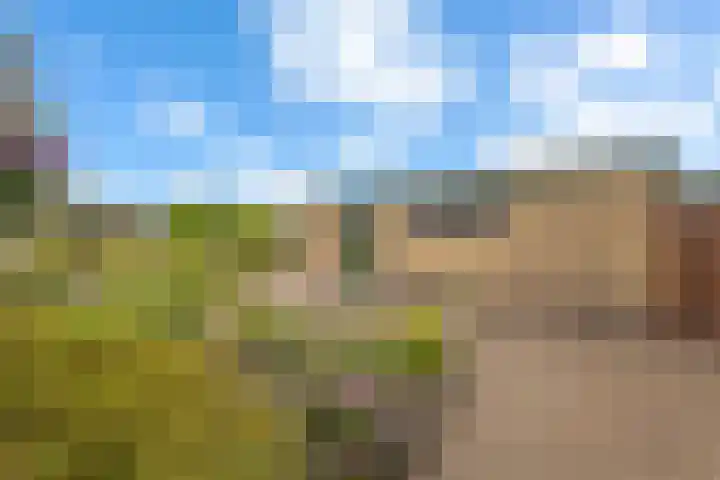 Kortendijksestraat 97 a Roosendaal foto 3
