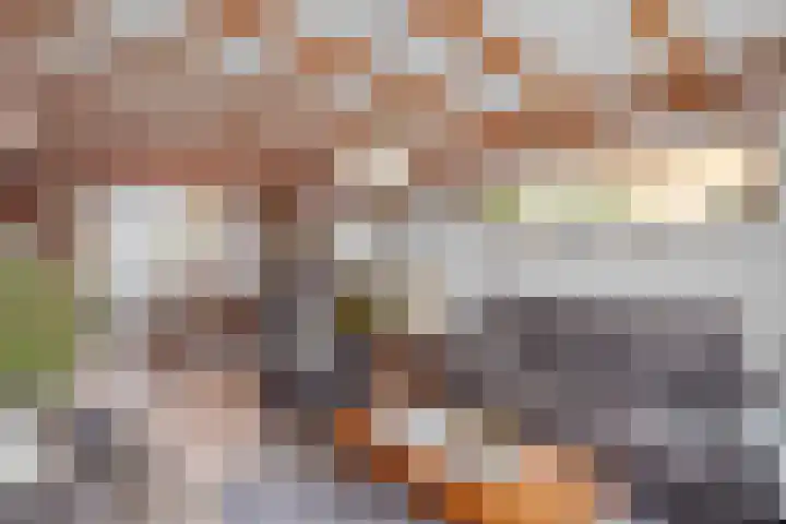 Kortendijksestraat 97 a Roosendaal thumbnail 7