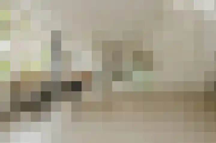 Kortendonk 17 Breda thumbnail 11