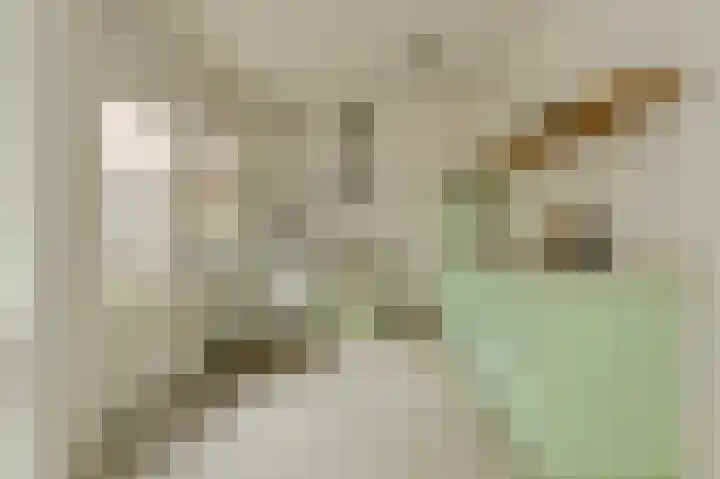 Kortendonk 17 Breda thumbnail 12