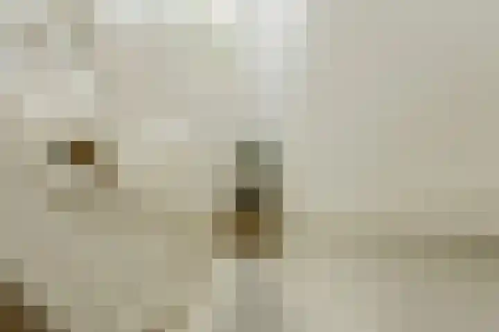 Kortendonk 17 Breda thumbnail 23