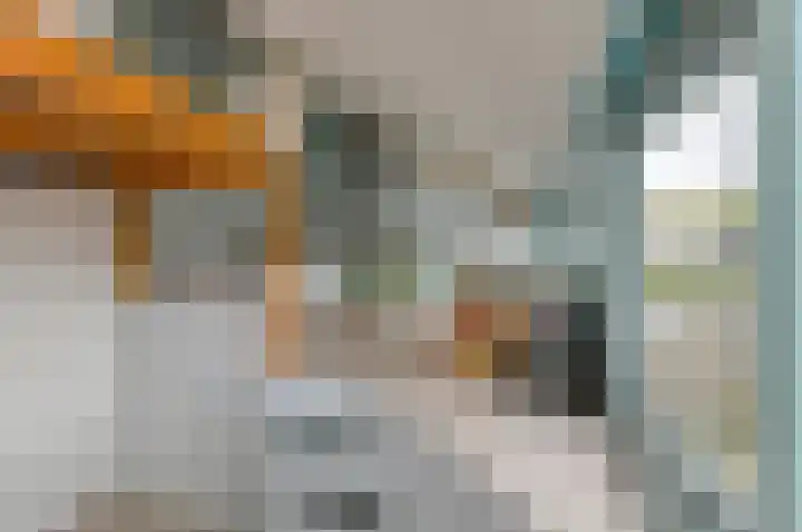 Kortendonk 17 Breda thumbnail 30