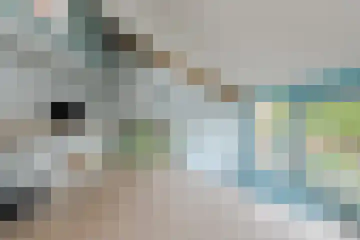 Kortendonk 17 Breda thumbnail 31