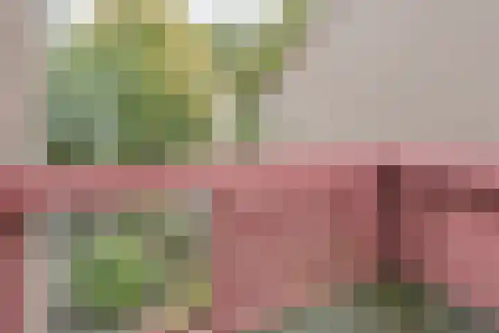 Kortendonk 17 Breda thumbnail 36