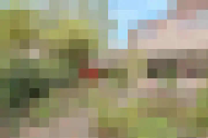 Kortendonk 17 Breda thumbnail 41