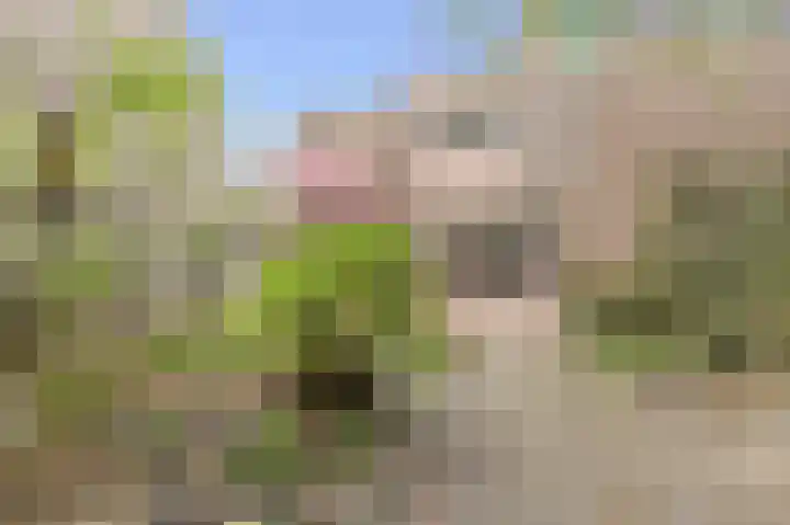 Kortendonk 17 Breda thumbnail 44
