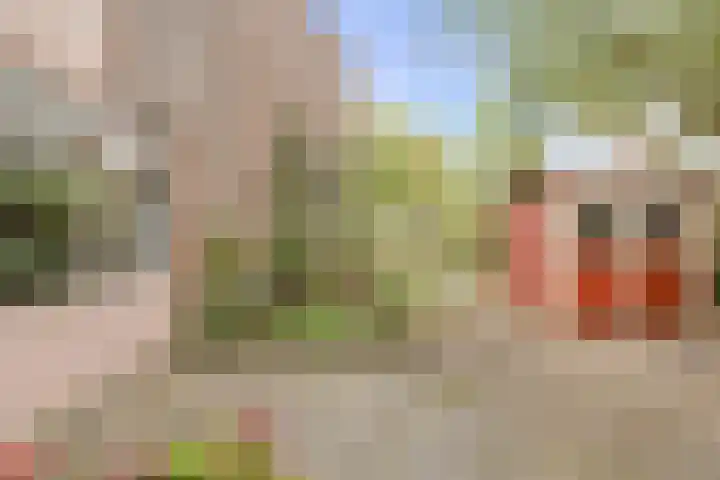 Kortendonk 17 Breda thumbnail 45