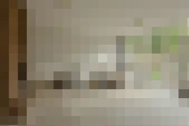 Kortendonk 17 Breda thumbnail 5