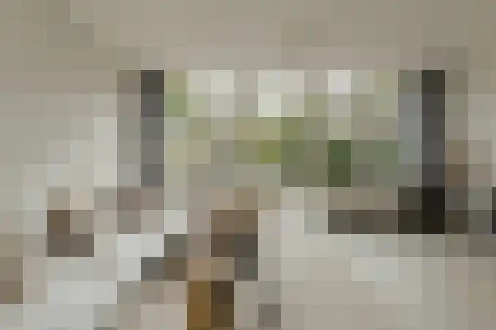 Kortendonk 17 Breda thumbnail 6
