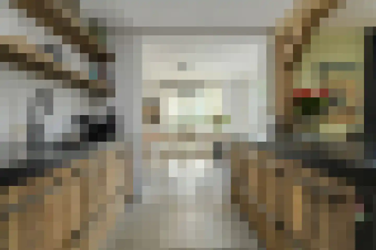 Kortendonk 8 Teteringen thumbnail 12