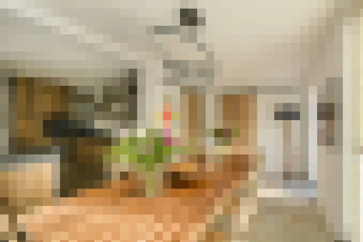 Kortendonk 8 Teteringen thumbnail 15