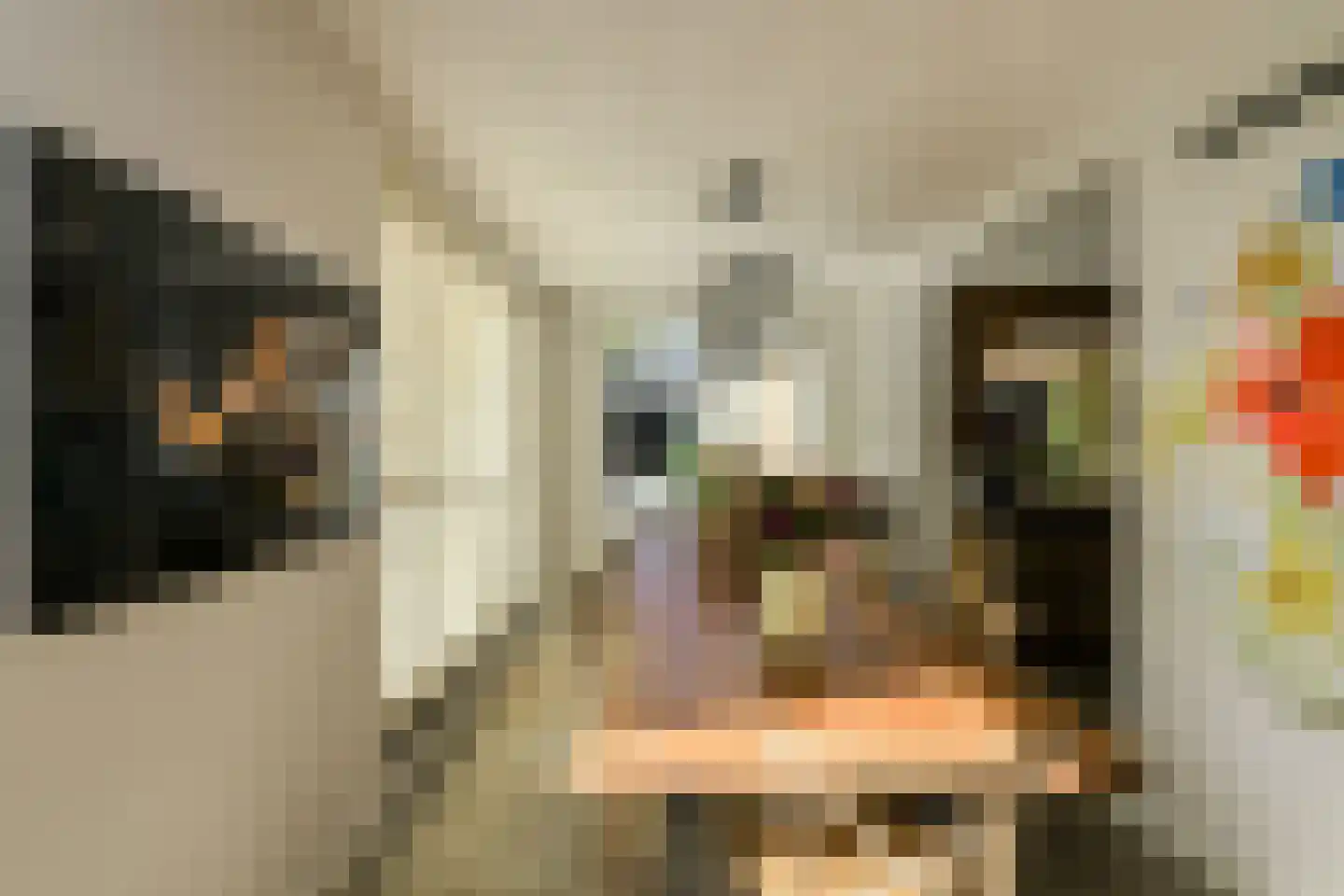Kortendonk 8 Teteringen thumbnail 18