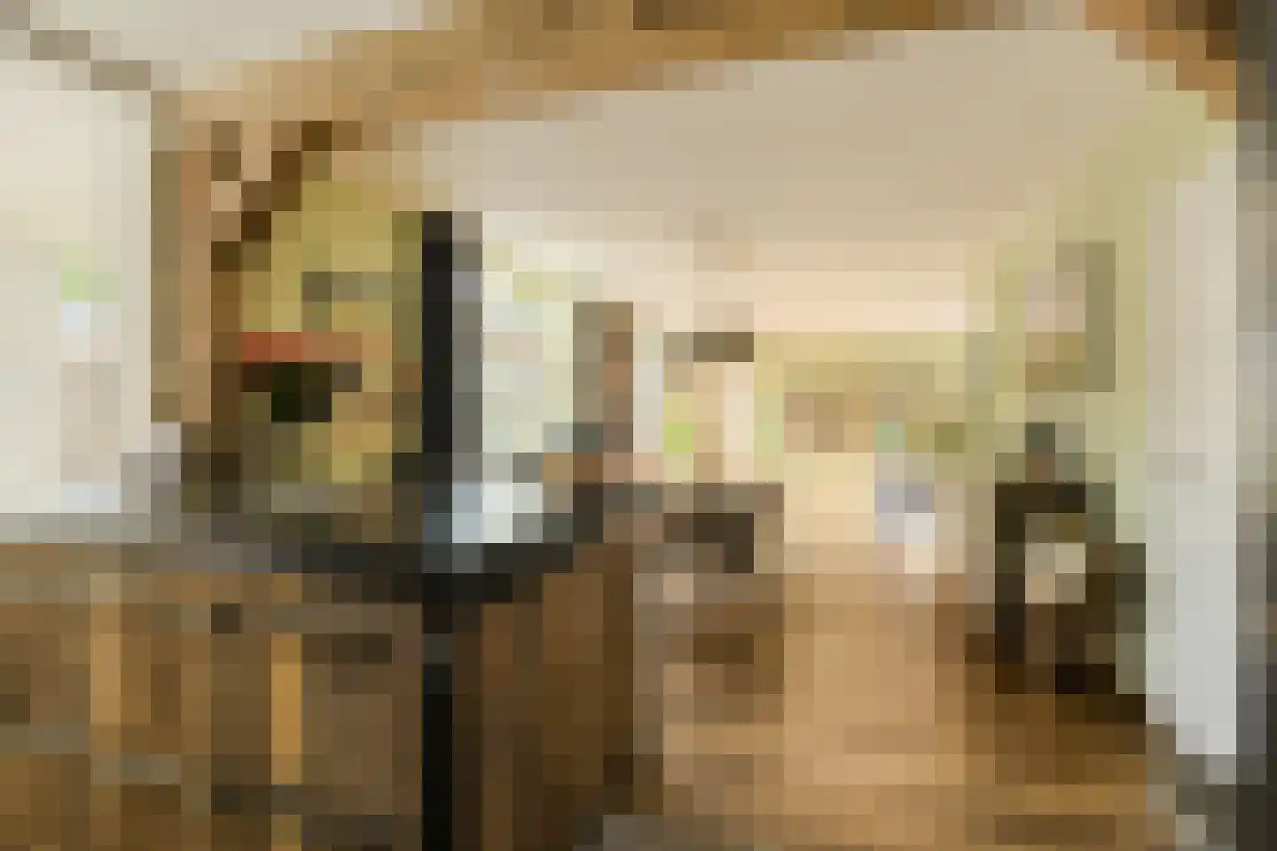 Kortendonk 8 Teteringen thumbnail 20