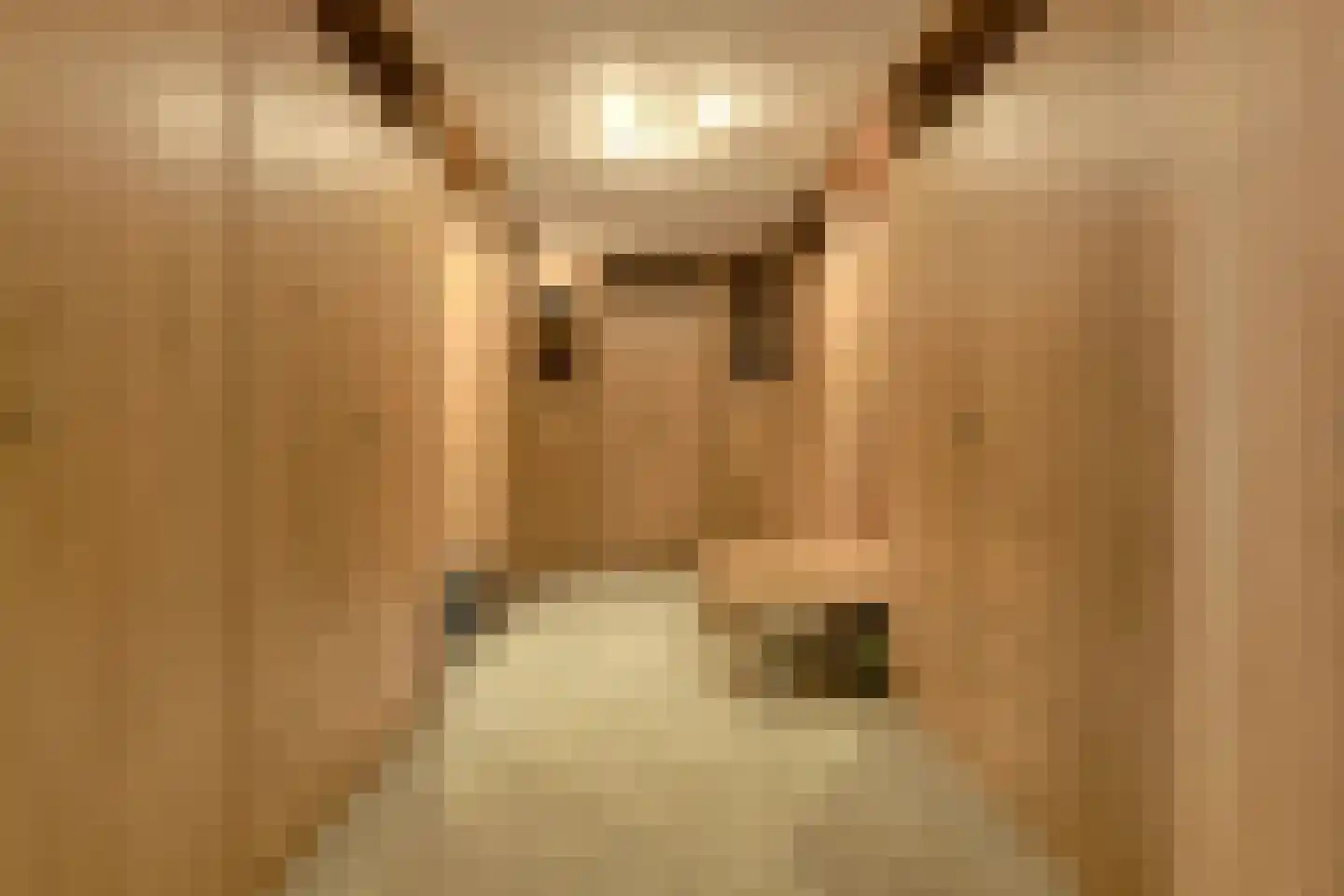 Kortendonk 8 Teteringen thumbnail 26