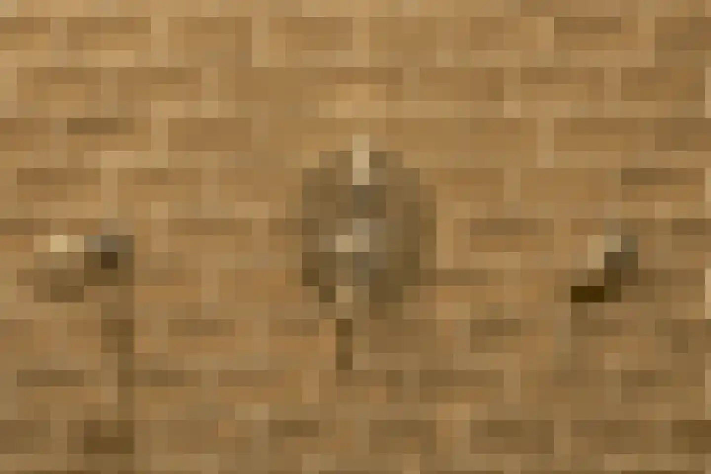 Kortendonk 8 Teteringen thumbnail 32