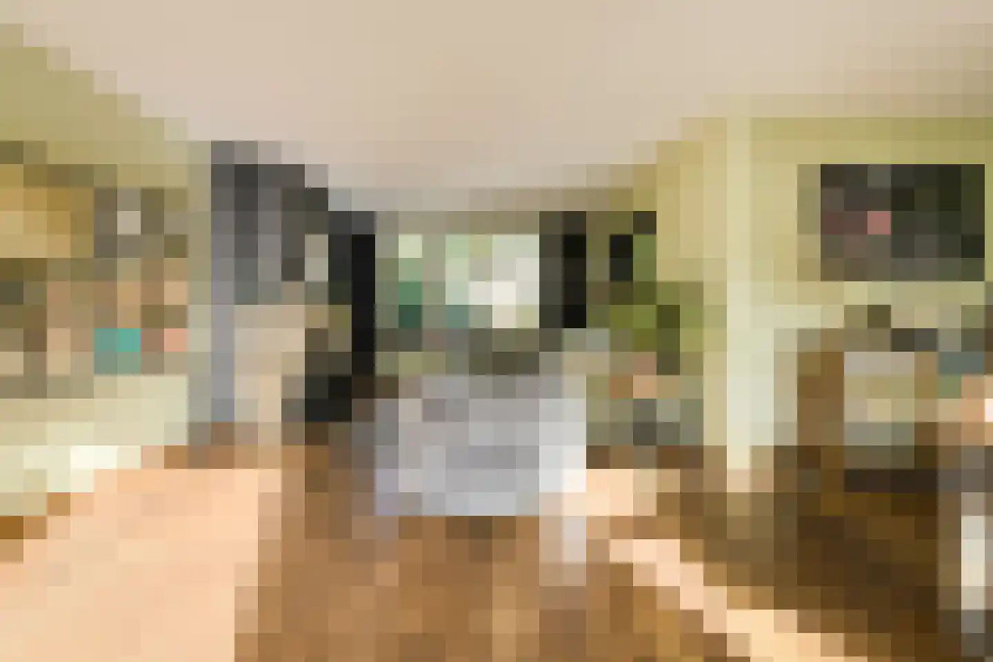 Kortendonk 8 Teteringen thumbnail 4