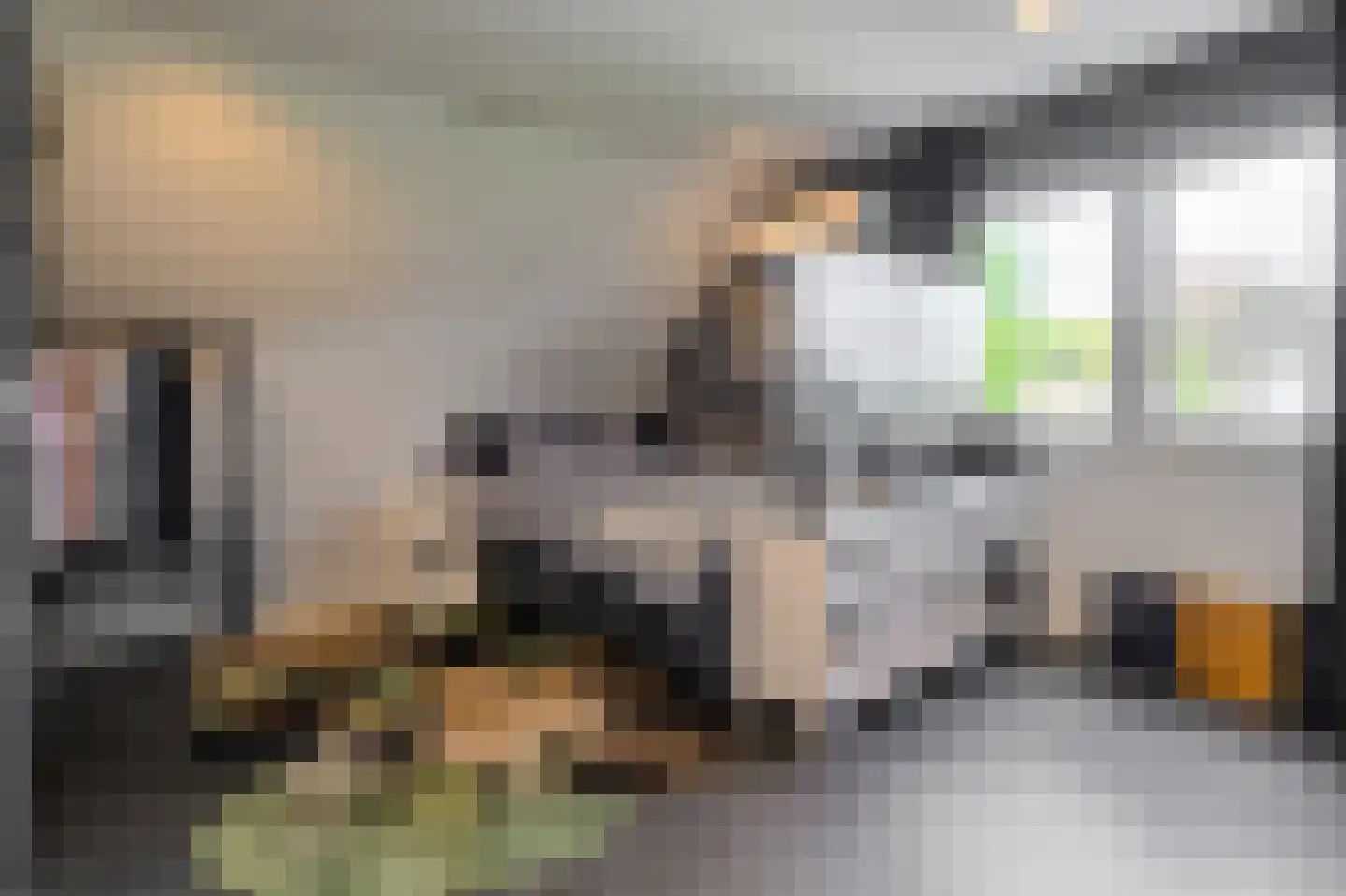 Kortendonk 8 Teteringen thumbnail 49