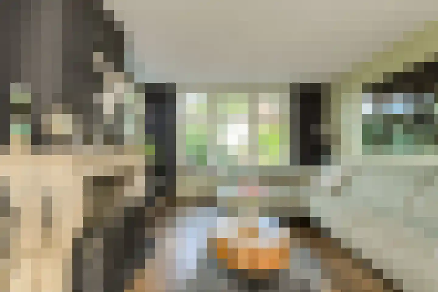 Kortendonk 8 Teteringen thumbnail 5