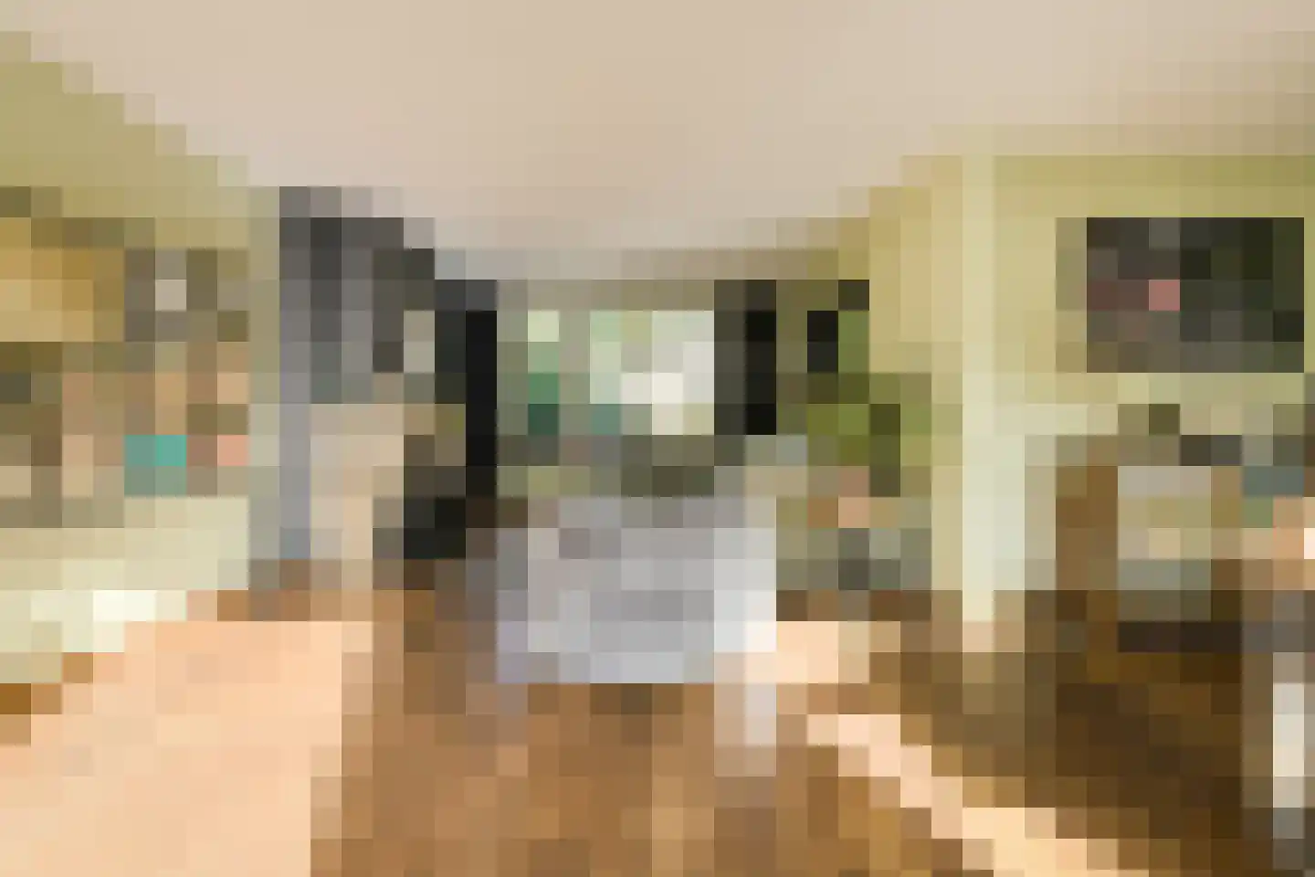 Kortendonk 8 Teteringen thumbnail 5