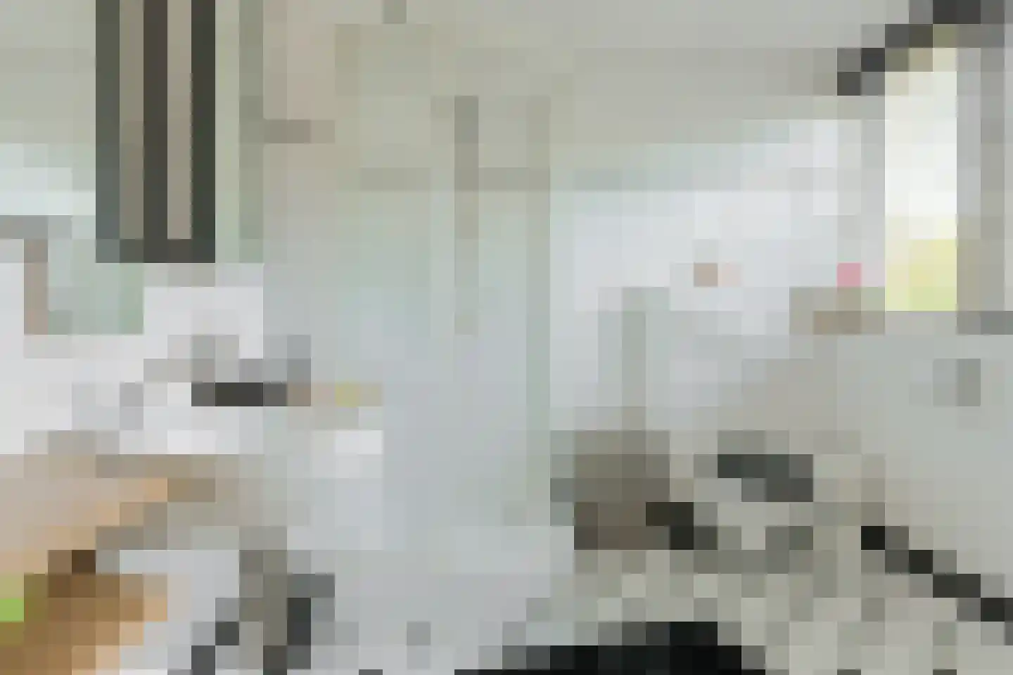 Kortendonk 8 Teteringen thumbnail 51