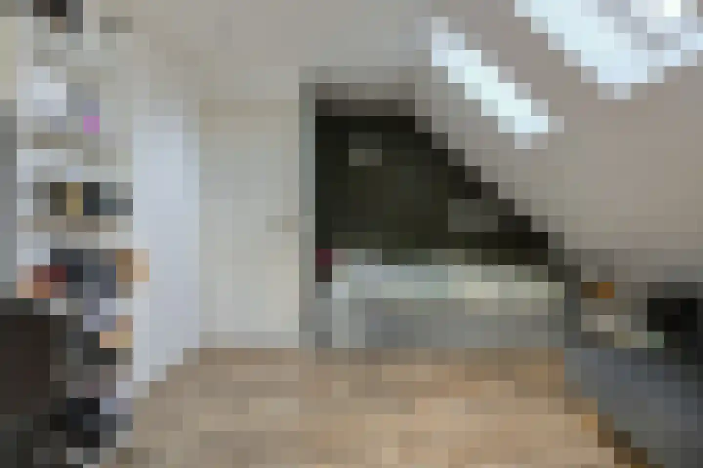 Kortendonk 8 Teteringen thumbnail 60
