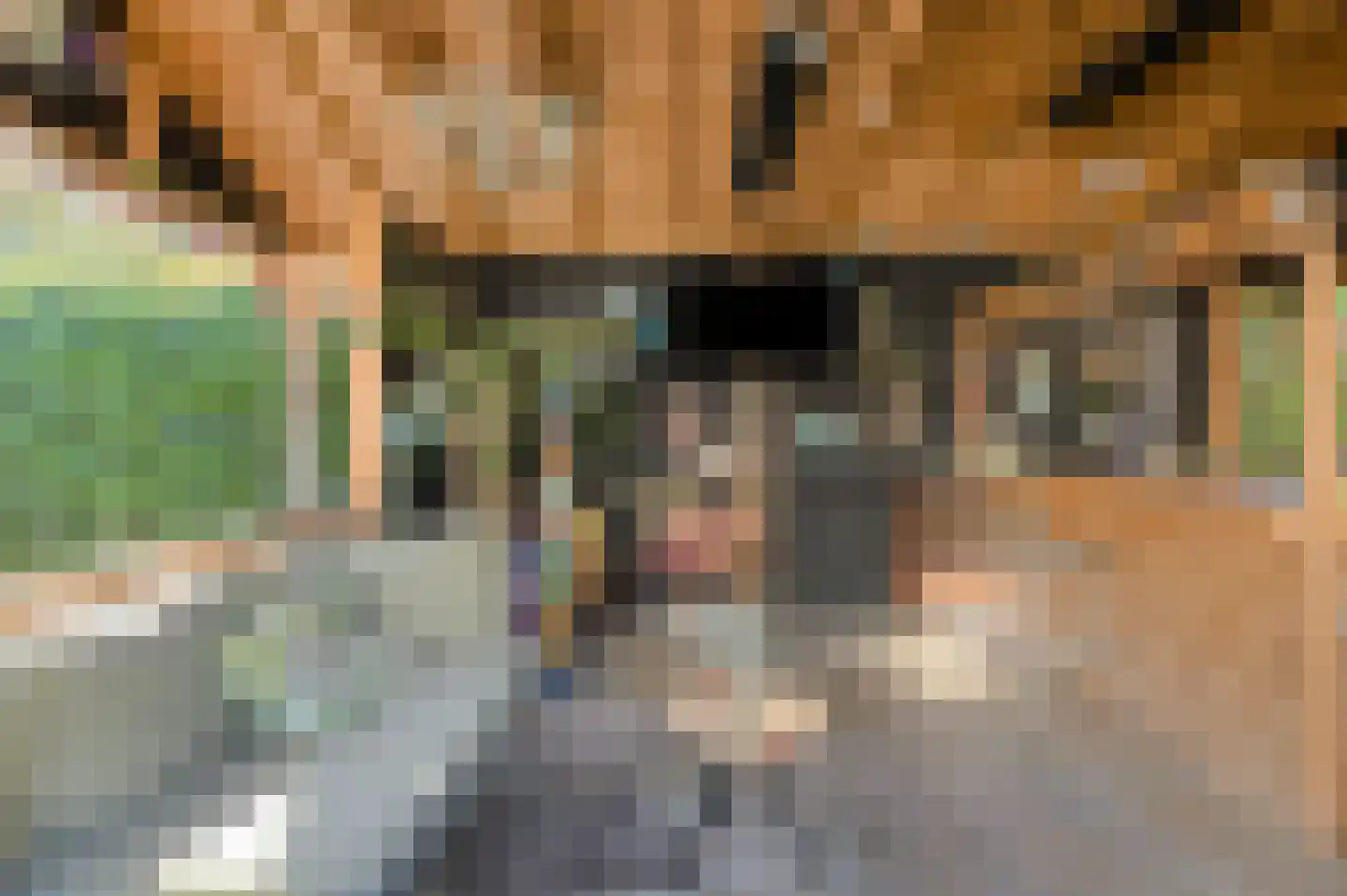 Kortendonk 8 Teteringen thumbnail 62