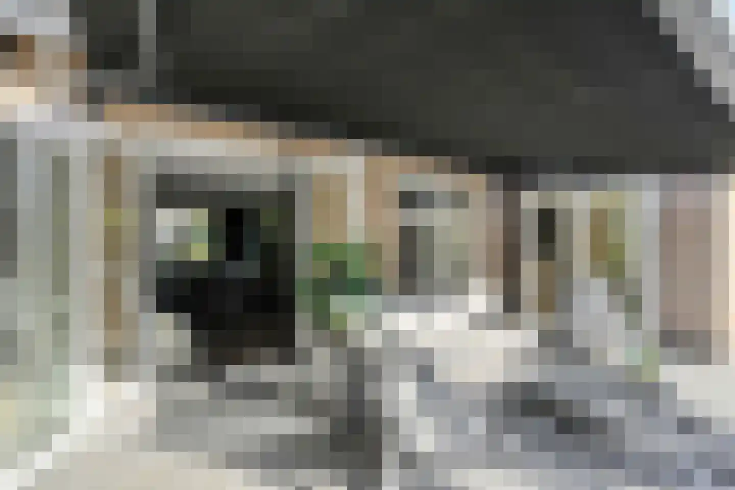 Kortendonk 8 Teteringen thumbnail 66