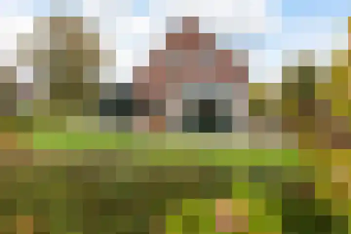 Kortenhoefsedijk 144 Kortenhoef thumbnail 25