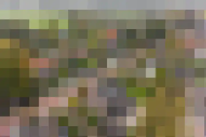 Kortenhoefsedijk 144 Kortenhoef thumbnail 29