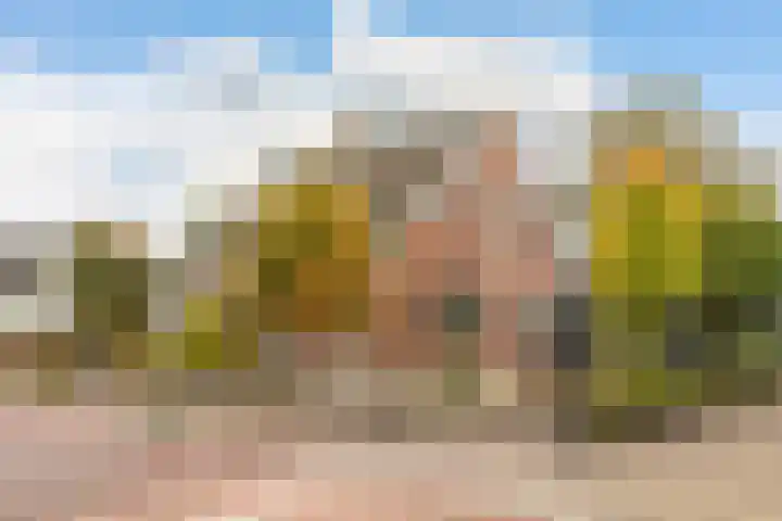 Kortenhoefsedijk 144 Kortenhoef thumbnail 4
