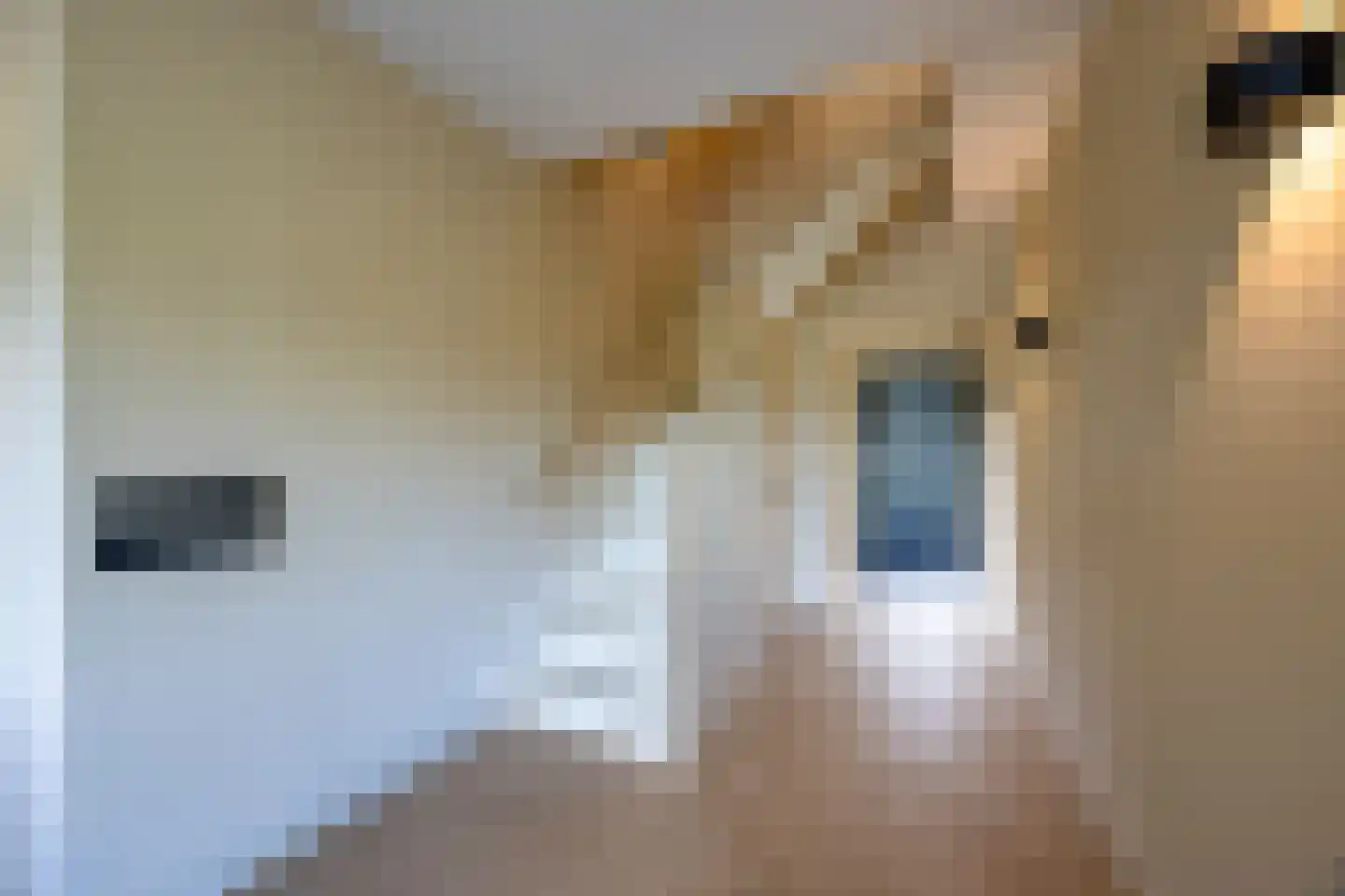 Kortenhoefsedijk 198 Kortenhoef thumbnail 32
