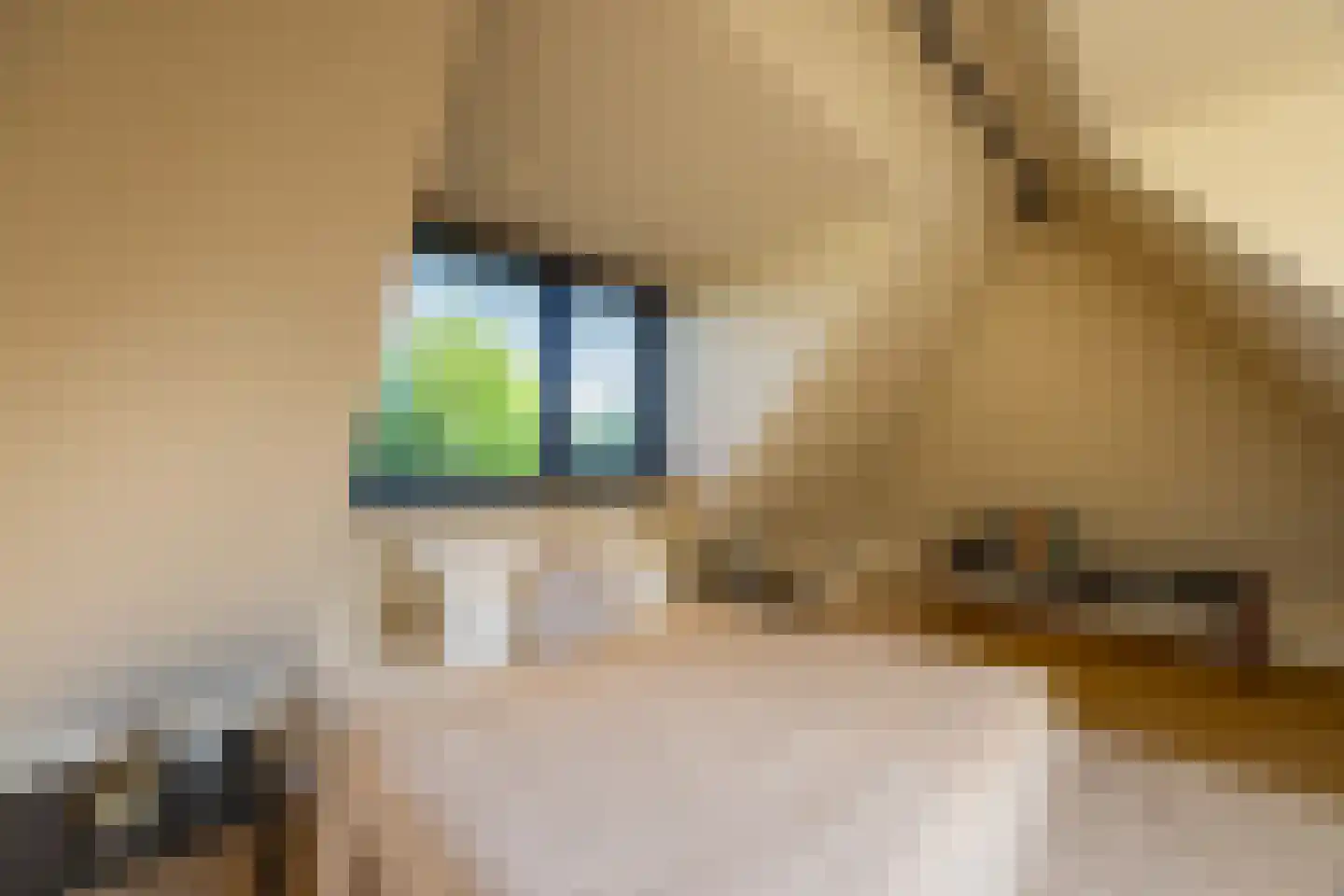 Kortenhoefsedijk 198 Kortenhoef thumbnail 37