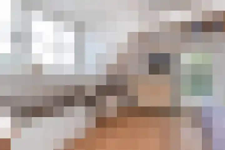 Kortenhoefsedijk 44 Kortenhoef thumbnail 17