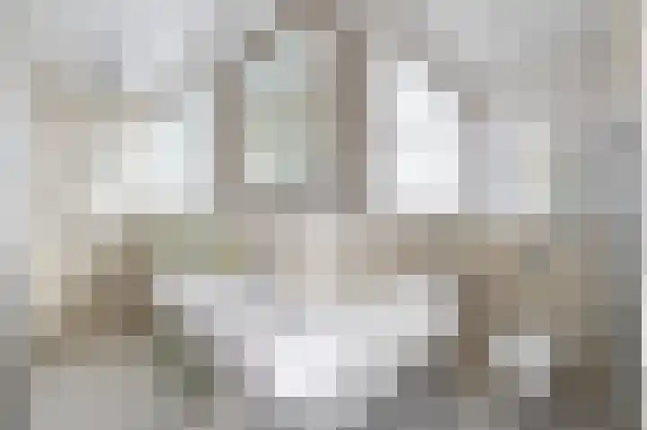 Kortenhoefsedijk 44 Kortenhoef thumbnail 20