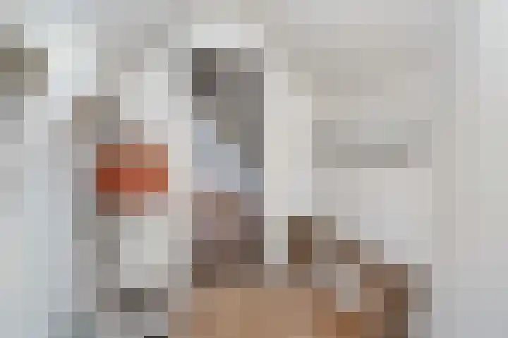 Kortenhoefsedijk 44 Kortenhoef thumbnail 21