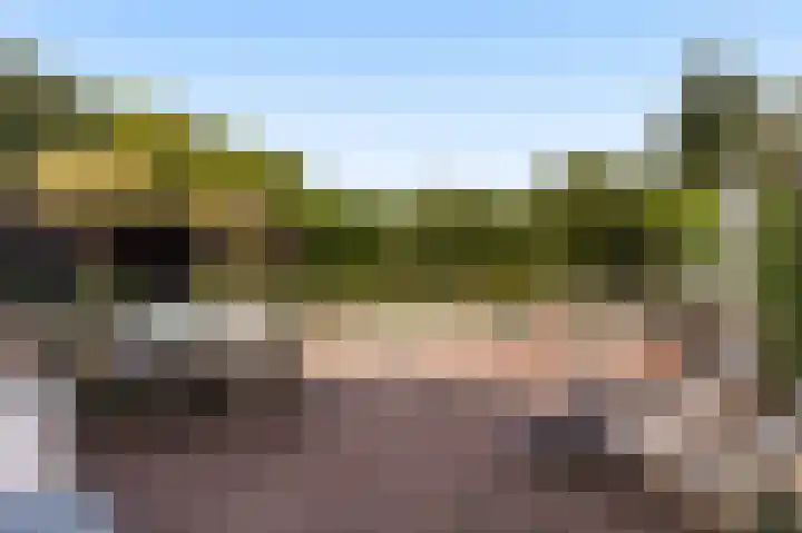 Kortenhoefsedijk 44 Kortenhoef thumbnail 29
