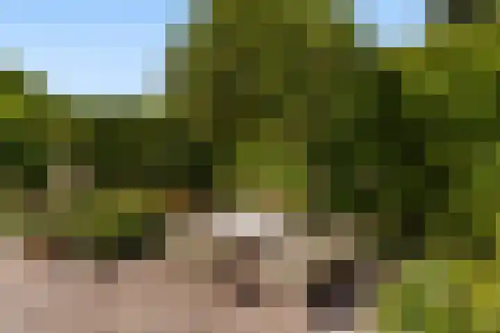Kortenhoefsedijk 44 Kortenhoef thumbnail 30