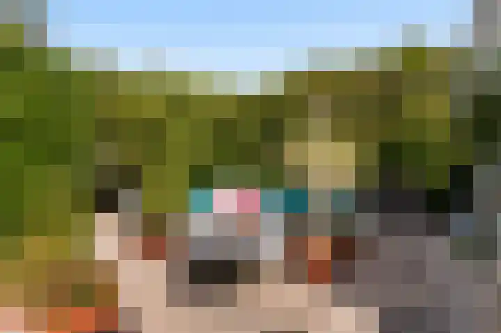 Kortenhoefsedijk 44 Kortenhoef thumbnail 32