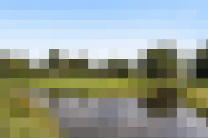 Kortenhoefsedijk 44 Kortenhoef thumbnail 34