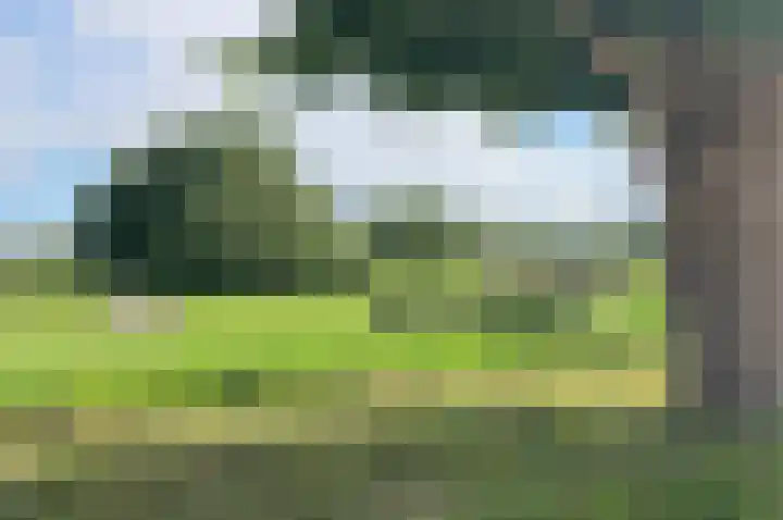 Kortenhoefsedijk 44 Kortenhoef thumbnail 35