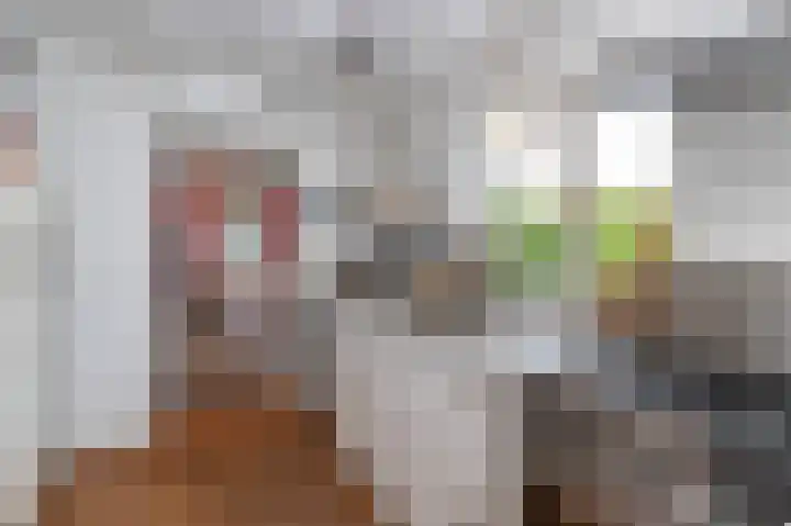 Kortenhoefsedijk 44 Kortenhoef thumbnail 7