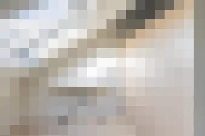 Kortenhoeve 10 Delft thumbnail 37