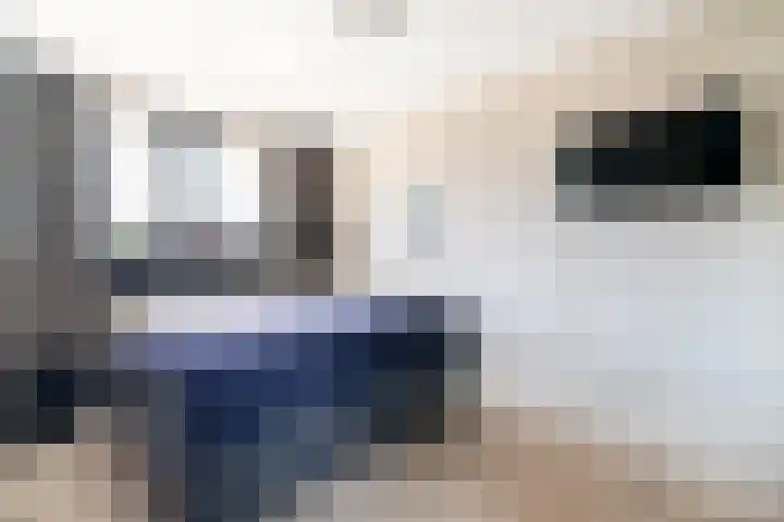 Kortenhoeve 2 Delft thumbnail 27