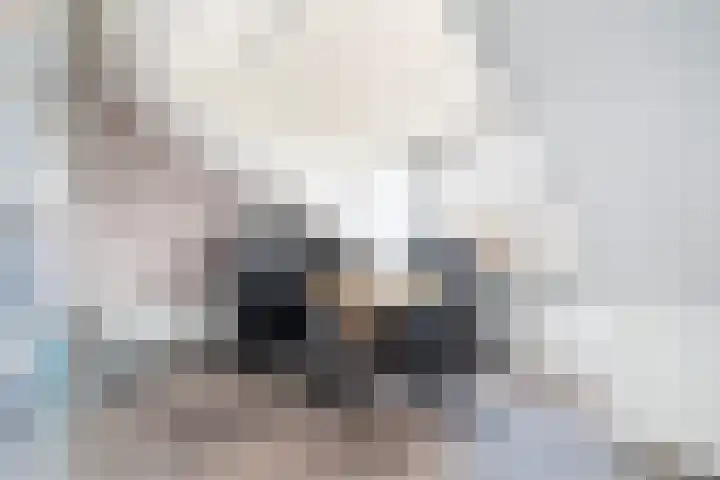 Kortenhoeve 2 Delft thumbnail 36