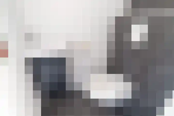 Kortenhoeve 2 Delft thumbnail 9