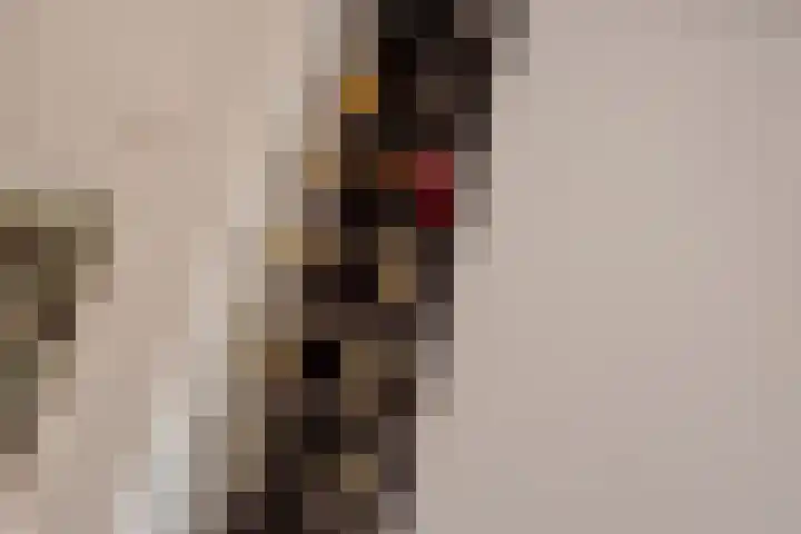 Kortenhoeve 20 Delft thumbnail 15