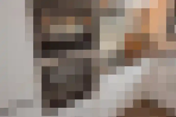 Kortenhoeve 20 Delft thumbnail 16