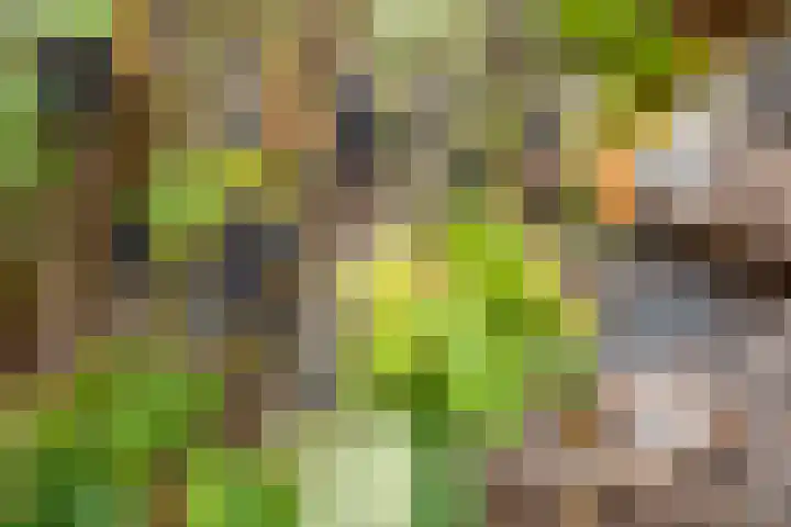 Kortenhoeve 20 Delft thumbnail 18