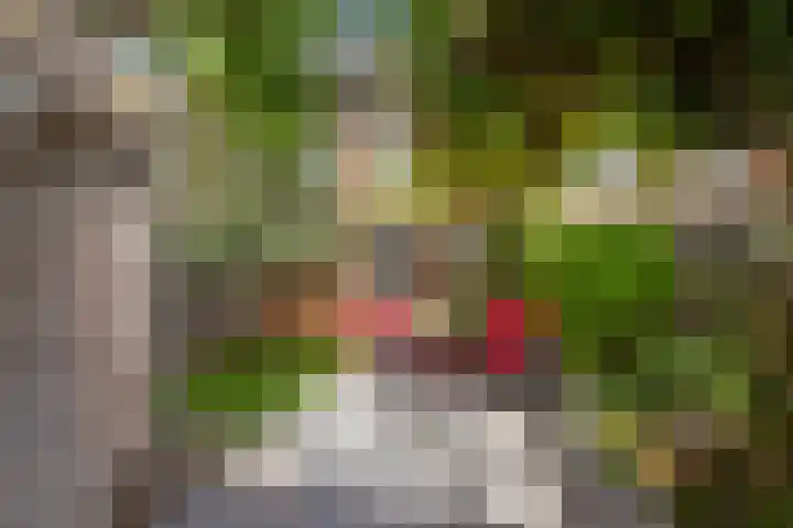 Kortenhoeve 20 Delft thumbnail 20